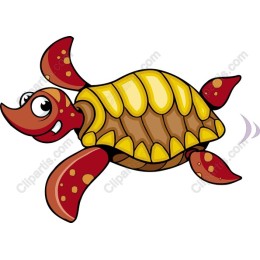 Cheerful Turtle