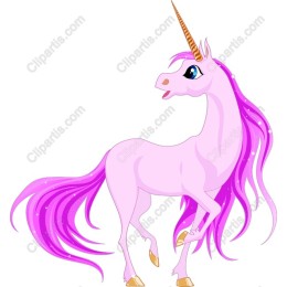 Magical Pink Unicorn