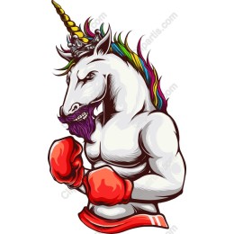Fierce Unicorn Boxing