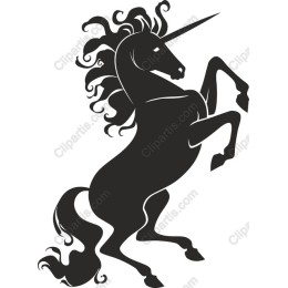 Stunning Unicorn