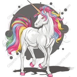 Rainbow Mane Unicorn