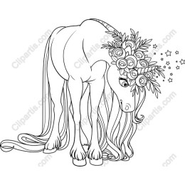 Enchanting Unicorn