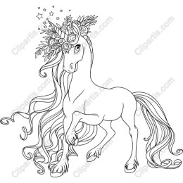 Enchanting Unicorn