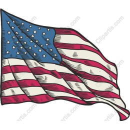 Patriotic American Flag