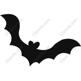 Black Bat