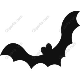 Bat