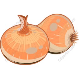 Plump Fresh Onion