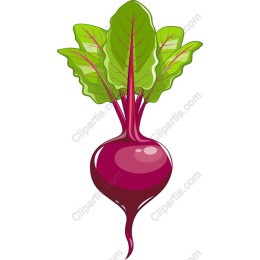 Vibrant Beetroot