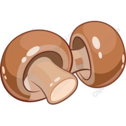 Charming Mushroom