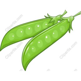 Fresh Green Peas