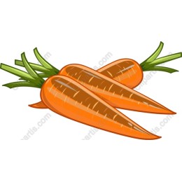 Fresh Carrots