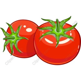 Fresh Tomato