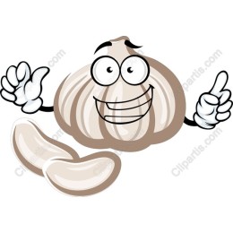 Cheerful Garlic Character