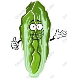 Cheerful Cartoon Lettuce Character