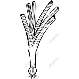 Leeks Bundle
