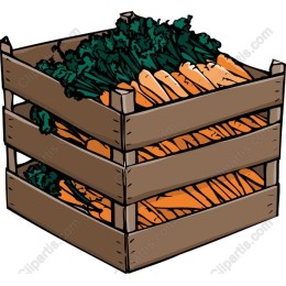 Fresh Carrot Crate