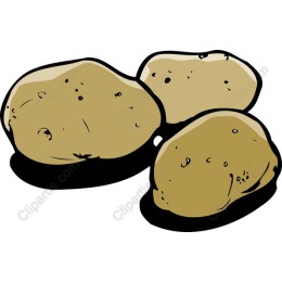 Rustic Hand-Drawn Potato