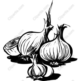 Hand-Drawn Onion