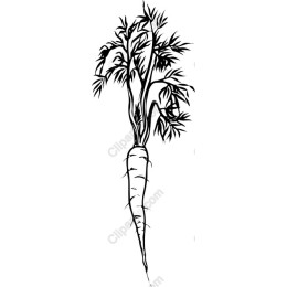 Stylized Carrot