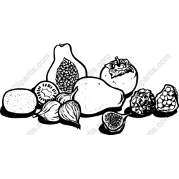 Exquisite Hand-Drawn Fruits