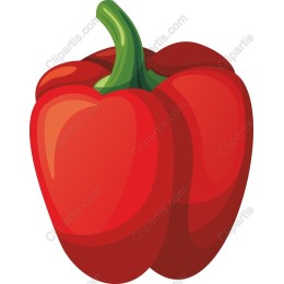 Vibrant Red Bell Pepper