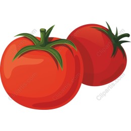 Vibrant Tomato