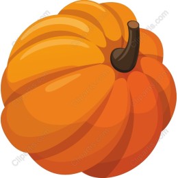 Vibrant Autumn Pumpkin