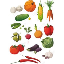 Vegetable Collection