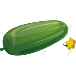 Vibrant Cucumber