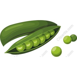 Fresh Green Peas