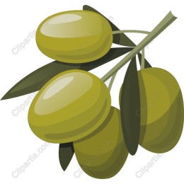 Vibrant Green Olive