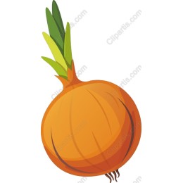 Vibrant Onion
