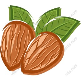 Almond with Leaves
