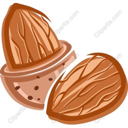 Almond - Nut & Shell