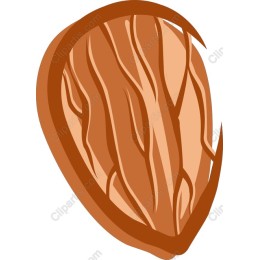 Almond Nut
