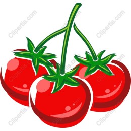 Fresh Red Tomato