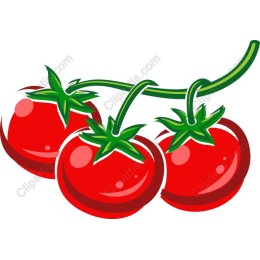  Tomato Trio