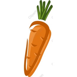 Vibrant Carrot