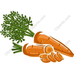 Fresh Carrot