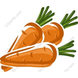 Vibrant Carrot