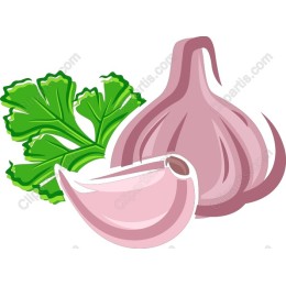Fresh Garlic and Parsley