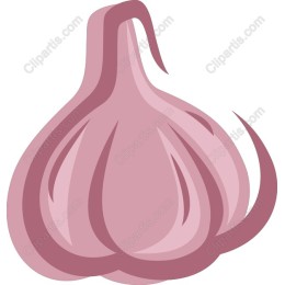 Garlic Bulb