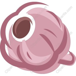 Cotton Flower