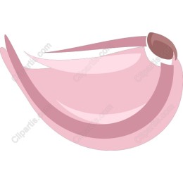 Delicate Garlic Clove
