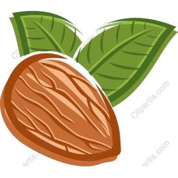 Almond with Leaves