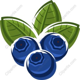 Fresh Blueberry