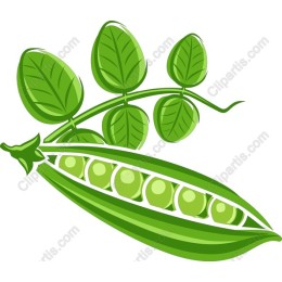 Green Pea