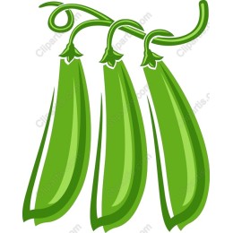Fresh Green Peas