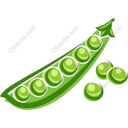 Fresh Green Pea
