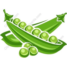 Fresh Green Peas